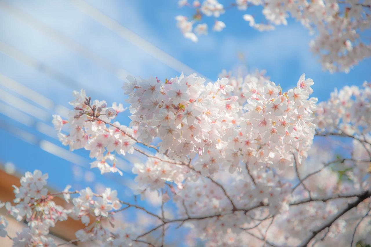 Kyoto Takasegawa Bettei Hotel Kültér fotó