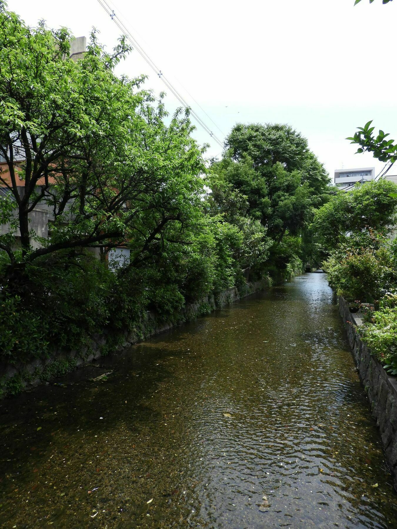 Kyoto Takasegawa Bettei Hotel Kültér fotó
